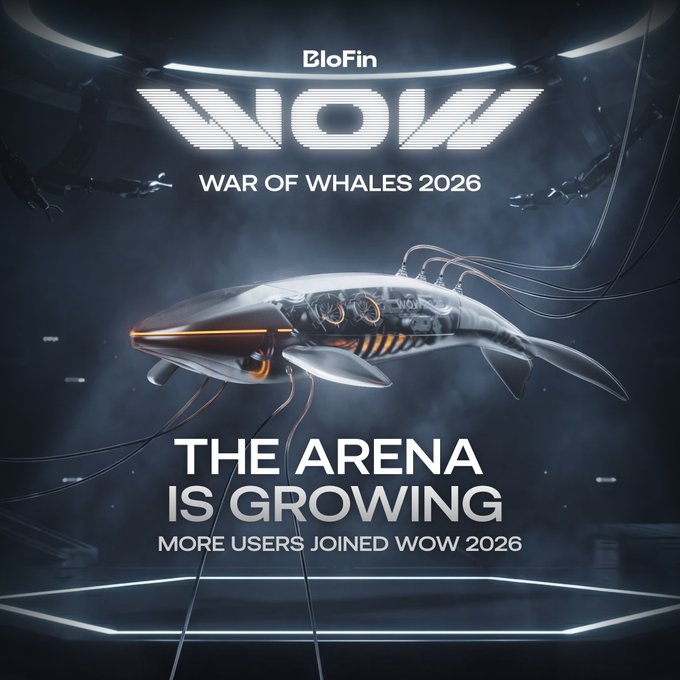 The arena is growing, more users joined War of Whales 2026